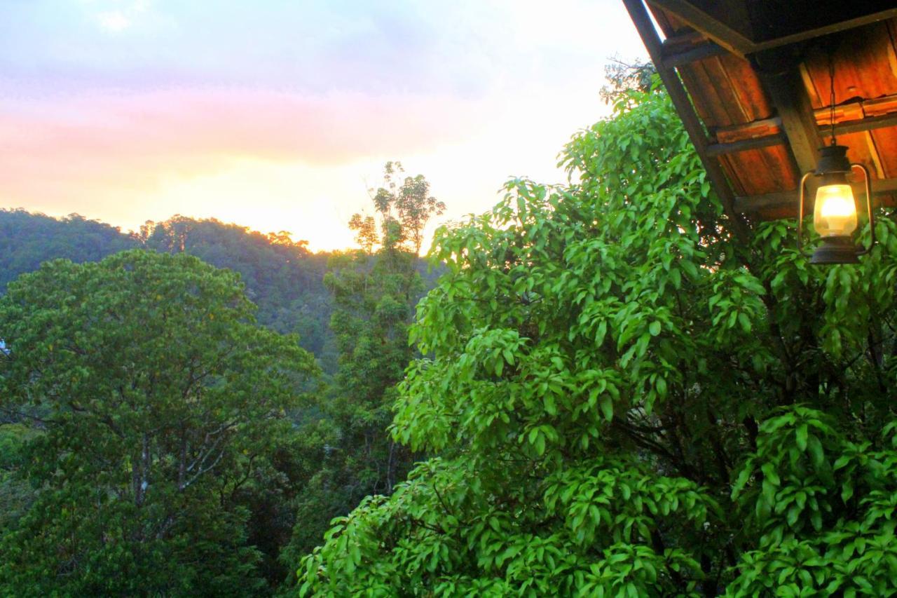 Hotel The Wild Trails Clarks Exotica , Munnar Exterior foto